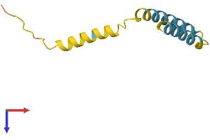 AlphaFold protein structure predicition of Human Recombinant SMIM10 Protein, UniprotID Q96HG1