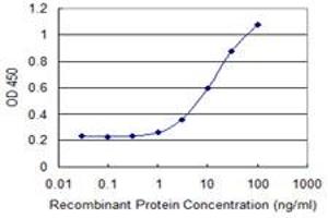 Detection limit for recombinant GST tagged C7orf38 is 0. (FAM200A 抗体  (AA 1-573))