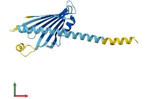 Protein Structure (PS) image for Slowmo Homolog 2 (SLMO2) (AA 1-195) protein (His tag) (ABIN7560763)