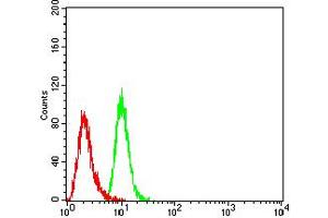 Flow Cytometry (FACS) image for anti-Purinergic Receptor P2Y, G-Protein Coupled, 2 (P2RY2) antibody (ABIN5684146)