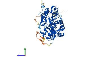 AlphaFold protein structure predicition of Human Recombinant FUT1 Protein, UniprotID P19526