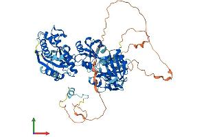 Protein Structure (PS) image for Epithelial Splicing Regulatory Protein 1 (ESRP1) (AA 1-681) protein (His tag) (ABIN7553858)