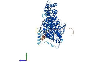 AlphaFold protein structure predicition of Mouse Recombinant Grk5 Protein, UniprotID Q8VEB1