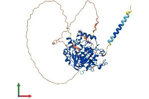 Protein Structure (PS) image for ST6 beta-Galactosamide alpha-2,6-Sialyltranferase 2 (ST6GAL2) (AA 1-529) protein (His tag) (ABIN7555464)