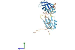 Protein Structure (PS) image for serine/arginine-Rich Splicing Factor 9 (SFRS9) (AA 1-222) protein (His tag) (ABIN7560824)