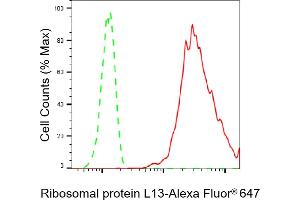 Flow cytometric analysis of Ribosomal protein L13 expression in C2C12 cells using Ribosomal protein L13 antibody (ABIN7800218), 1:2,000). (Recombinant RPL13 抗体)
