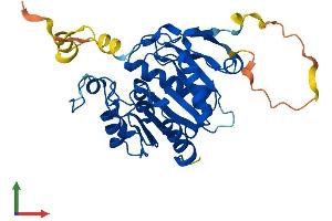 AlphaFold protein structure predicition of Mouse Recombinant Abhd17c Protein, UniprotID Q8VCV1