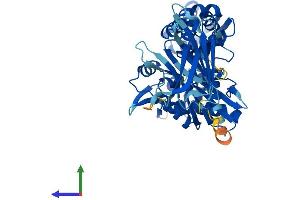 Protein Structure (PS) image for Heat Shock 70kDa Protein 14 (HSPA14) (AA 1-509) protein (His tag) (ABIN7548412)