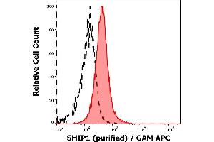 Separation of MOLT-4 cells stained using anti-SHIP1 (SHIP-02) purified antibody (concentration in sample 3 μg/mL, GAM APC, red-filled) from MOLT-4 cells unstained by primary antibody (GAM APC, black-dashed) in flow cytometry analysis (intracellular staining). (INPP5D 抗体  (N-Term))