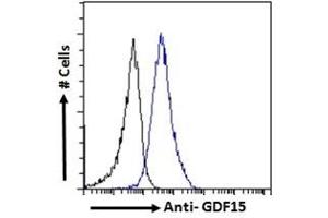 (ABIN185465) Flow cytometric analysis of paraformaldehyde fixed HeLa cells (blue line), permeabilized with 0.
