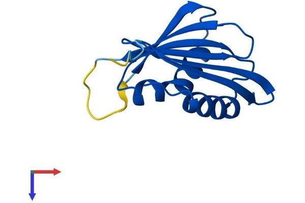 PSMG3 Protein (AA 1-122) (His tag)