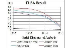 Black line: Control Antigen (100 ng), Purple line: Antigen(10 ng), Blue line: Antigen (50 ng), Red line: Antigen (100 ng), (c-FOS 抗体)