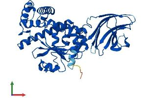 Protein Structure (PS) image for SEC14-Like 2 (SEC14L2) (AA 1-403) protein (His tag) (ABIN7551640)