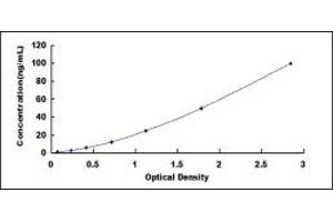 Typical standard curve (BCAM ELISA 试剂盒)