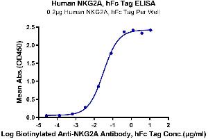 ELISA image for Killer Cell Lectin-Like Receptor Subfamily C, Member 1 (KLRC1) (AA 100-219) protein (Fc Tag) (ABIN7275335)