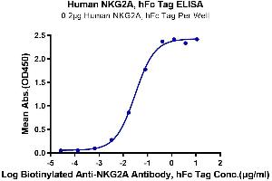Immobilized Human NKG2A, hFc Tag at 2 μg/mL (100 μL/Well) on Fc Antibody (2 μg/mL) precoated plate. (KLRC1 Protein (AA 100-219) (Fc Tag))