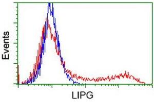 HEK293T cells transfected with either RC209248 overexpress plasmid (Red) or empty vector control plasmid (Blue) were immunostained by anti-LIPG antibody (ABIN2453815), and then analyzed by flow cytometry. (LIPG 抗体)