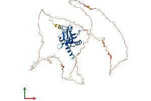 Protein Structure (PS) image for Glial Cells Missing Homolog 1 (GCM1) (AA 1-436) protein (His tag) (ABIN7547932)