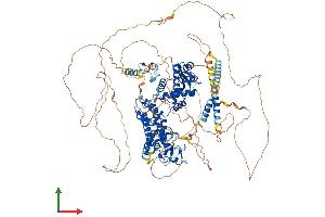 Protein Structure (PS) image for Ring Finger and CCCH-Type Domains 1 (RC3H1) (AA 1-1130) protein (His tag) (ABIN7563785)