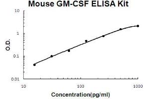 Mouse GM-CSF Accusignal ELISA Kit Mouse GM-CSF AccuSignal ELISA Kit standard curve.