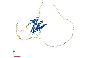 Protein Structure (PS) image for Sorting Nexin 11 (SNX11) (AA 1-270) protein (His tag) (ABIN7546188)