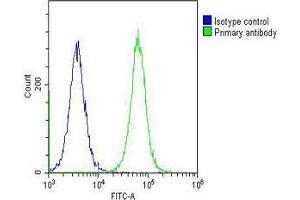 Overlay histogram showing Hela cells stained with (ABIN6243713 and ABIN6578558) (green line). (LASS4 抗体  (AA 21-51))