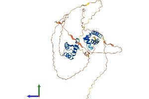 Protein Structure (PS) image for POU Class 2 Homeobox 3 (POU2F3) (AA 1-431) protein (His tag) (ABIN7563117)