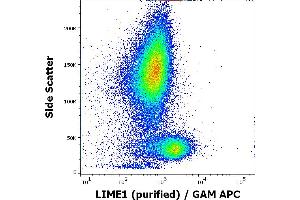 Flow cytometry intracellular staining pattern of human peripheral whole blood using anti-LIME1 (LIME-06) purified antibody (concentration in sample 9 μg/mL, GAM APC). (LIME 抗体  (AA 141-295))