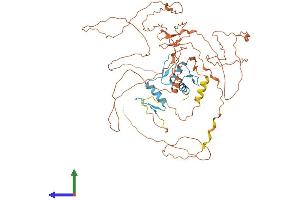 Protein Structure (PS) image for Sp2 Transcription Factor (Sp2) (AA 1-612) protein (His tag) (ABIN7560914)