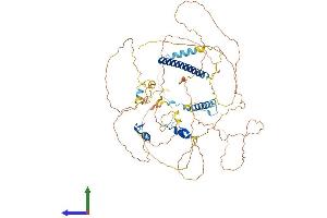 AlphaFold protein structure predicition of Human Recombinant UIMC1 Protein, UniprotID Q96RL1
