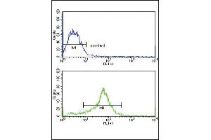 TI Antibody (Center) (ABIN653069 and ABIN2842670) flow cytometric analysis of MCF-7 cells (bottom histogram) compared to a negative control cell (top histogram).