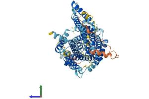 Protein Structure (PS) image for Solute Carrier Family 7 (Cationic Amino Acid Transporter, Y+ System), Member 1 (SLC7A1) (AA 1-622) protein (His tag) (ABIN7556931)