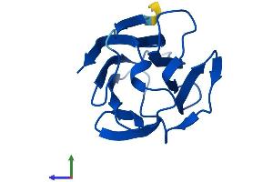 Protein Structure (PS) image for Galectin 7 (LGALS7) (AA 1-136) protein (His tag) (ABIN7562459)