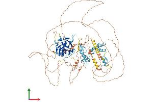 Protein Structure (PS) image for PR Domain Containing 1, with ZNF Domain (PRDM1) (AA 1-856) protein (His tag) (ABIN7557584)