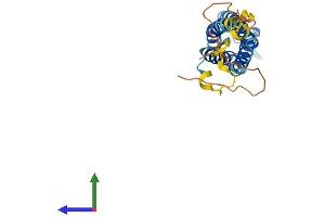 Protein Structure (PS) image for Synaptogyrin 1 (SYNGR1) (AA 1-233) protein (His tag) (ABIN7546326)
