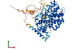 AlphaFold protein structure predicition of Human Recombinant SESN3 Protein, UniprotID P58005