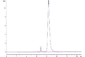 The purity of Cynomolgus TPBG is greater than 95 % as determined by SEC-HPLC.