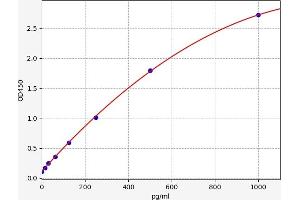 Interleukin 21 (IL21) ELISA Kit