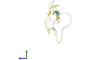 Protein Structure (PS) image for Myozenin 1 (MYOZ1) (AA 1-299) protein (His tag) (ABIN7549638)