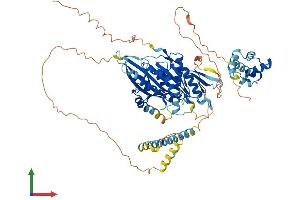 Protein Structure (PS) image for Kinesin Family Member 22 (KIF22) (AA 1-665) protein (His tag) (ABIN7548694)