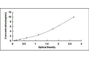 Typical standard curve (ITGB6 ELISA 试剂盒)