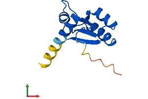 Protein Structure (PS) image for Ribosomal Protein L30 (RPL30) (AA 1-115) protein (His tag) (ABIN7556625)