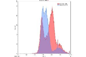 Detection of IL2 in 293F line transfected with target gene using Polyclonal Antibody to Interleukin 2 (IL2) (IL-2 抗体  (AA 21-153))