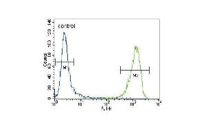 Flow Cytometry (FACS) image for anti-Actin, alpha 1, Skeletal Muscle (ACTA1) (AA 346-375), (C-Term) antibody (ABIN658563)