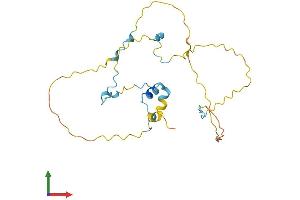 Protein Structure (PS) image for RAD9-HUS1-RAD1 Interacting Nuclear Orphan 1 (RHNO1) (AA 1-235) protein (His tag) (ABIN7559542)