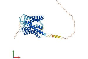Protein Structure (PS) image for Solute Carrier Family 10 (Sodium/bile Acid Cotransporter Family), Member 1 (SLC10A1) (AA 1-362) protein (His tag) (ABIN7562193)