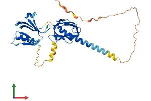 AlphaFold protein structure predicition of Human Recombinant DOK5 Protein, UniprotID Q9P104