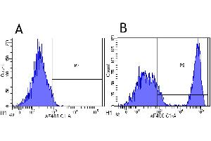 Flow-cytometry using the anti-CD20 research biosimilar antibody Rituximab   Rhesus monkey lymphocytes were stained with an isotype control (panel A) or the rabbit-chimeric version of Rituximab (panel B) at a concentration of 1 µg/ml for 30 mins at RT.