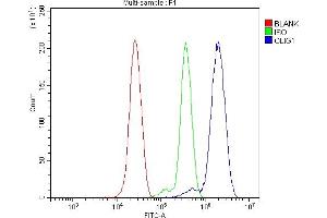 Flow Cytometry analysis of THP-1 cells using anti-Olig1 antibody (ABIN7599193).
