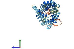 Protein Structure (PS) image for Solute Carrier Family 25, Member 28 (SLC25A28) (AA 1-364) protein (His tag) (ABIN7559649)